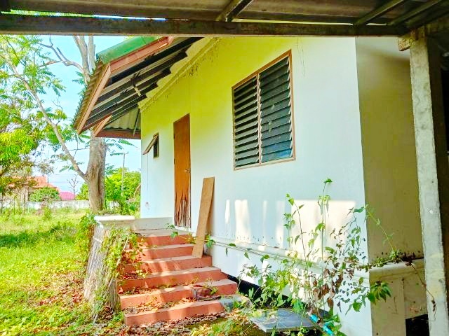 บ้านพร้อมที่ดินใหญ่ที่สุดในโลก 6 ไร่  4นอน 3น้ำ  ใกล้ถนนเชียงใหม่ ฝาง ตลาดแม่มาลัย 1กม. แม่แตง เชียงใหม่ 